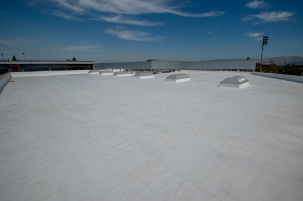 Best Asphalt Shingle Roofing  in Fair Plain, MI