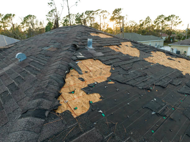 Best Roof Maintenance and Cleaning  in Fair Plain, MI