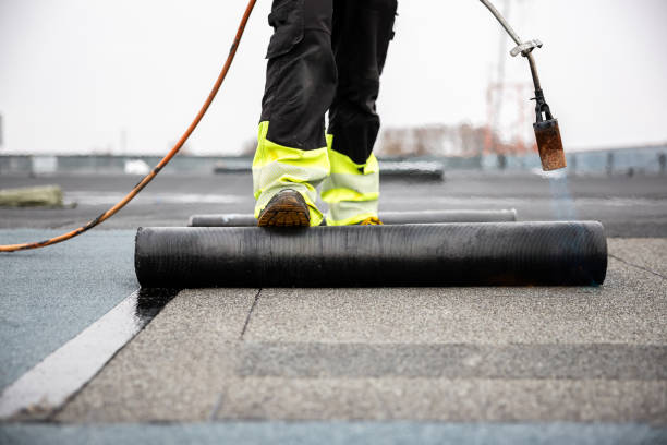 Best Roof Coating and Sealing  in Fair Plain, MI