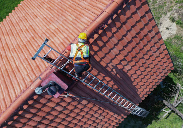Best Roof Maintenance and Cleaning  in Fair Plain, MI